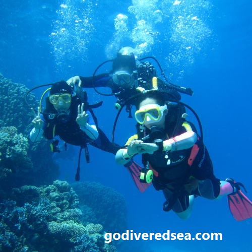 Dive Master Kurs