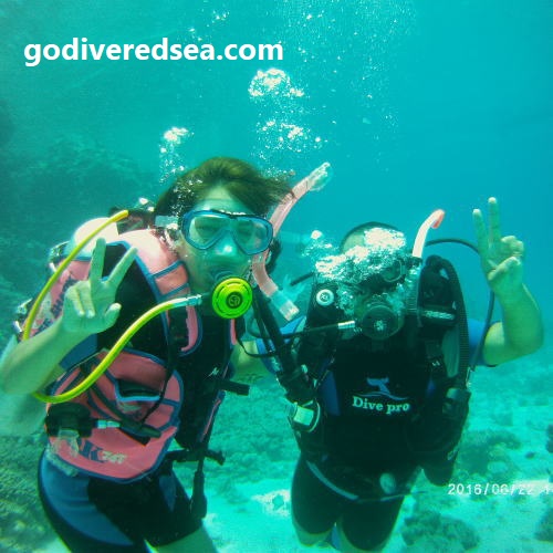 OpenWaterDiver