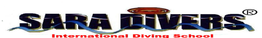 Diving Travel Hurghada Go Dive Red Sea Egypt SARA DIVERS